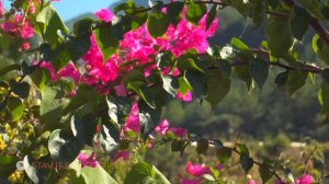 СИЛЬНАЯ ИСЦЕЛЯЮЩАЯ МЕДИТАЦИЯ для души и тела ПЕРЕЗАГРУЗКА.