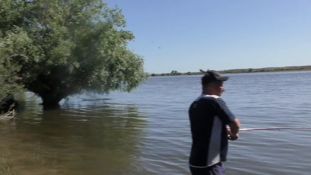 ЗА НИМ СТОИЛО ПРЫГНУТЬ В ВОДУ Первые трофейные сазаны Рыбалка на Ахтубе 2022 смотреть онлайн