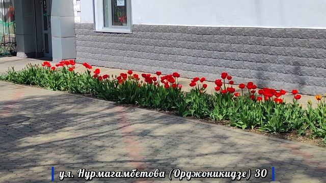 Усть-Каменогорск: ул. Нурмагамбетова (Орджоникидзе) в 4К, 21 апреля 2024 года. смотреть онлайн