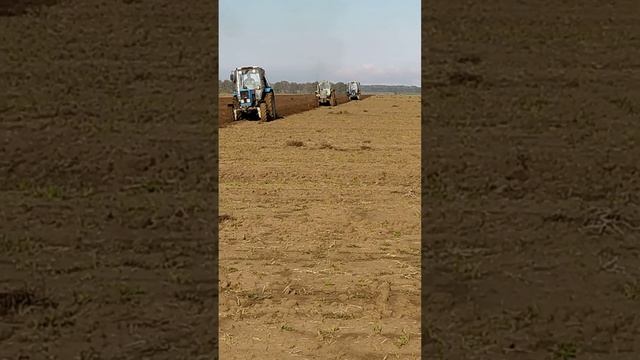 пахата тримя МТЗ день 2 смотреть онлайн