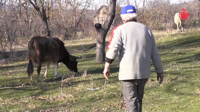 В Бобневи Новом Хурвалети нет кладбища смотреть онлайн