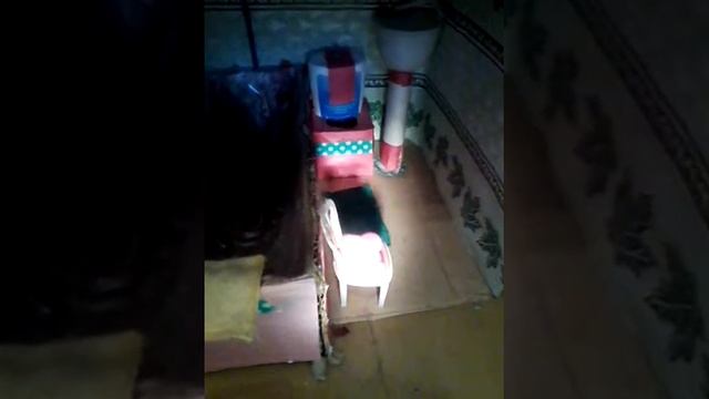 Мой кукольный дом смотреть онлайн