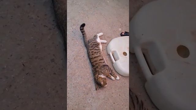 11 января 2020 г. смотреть онлайн