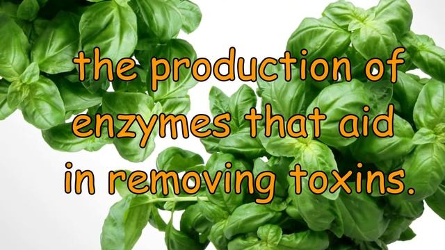 6 Foods That Naturally Detox and Cleanse Your Liver смотреть онлайн