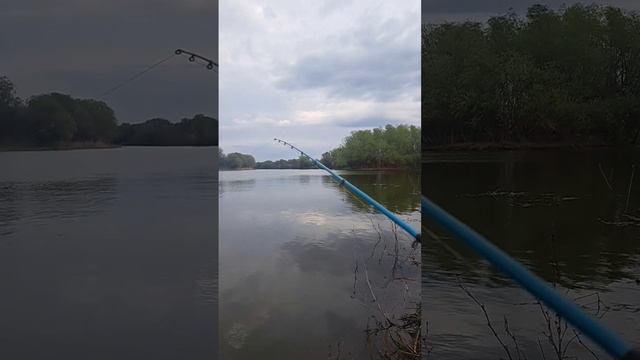 Астрахань Вобла смотреть онлайн