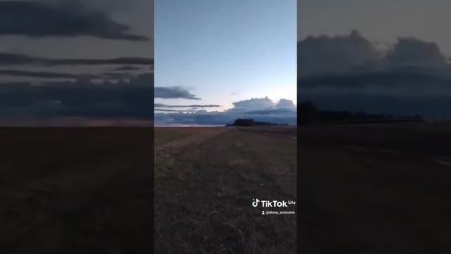 🐾🐾🐾🐾🐾🐾🐾🐾 смотреть онлайн