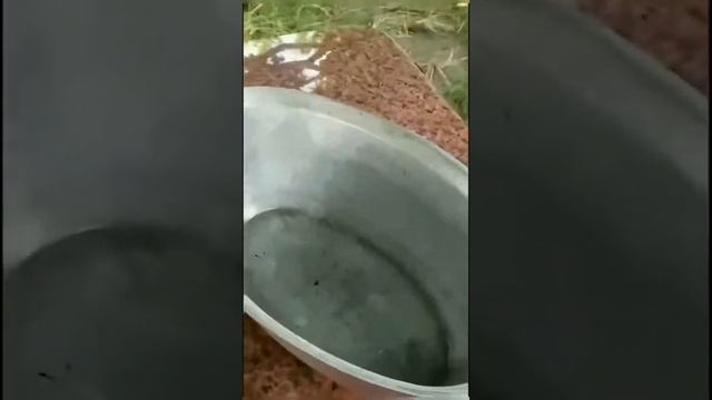 СУПЕР СИЛА ВІД Джерелії смотреть онлайн
