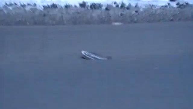 Люк на Подлесной 47а смотреть онлайн