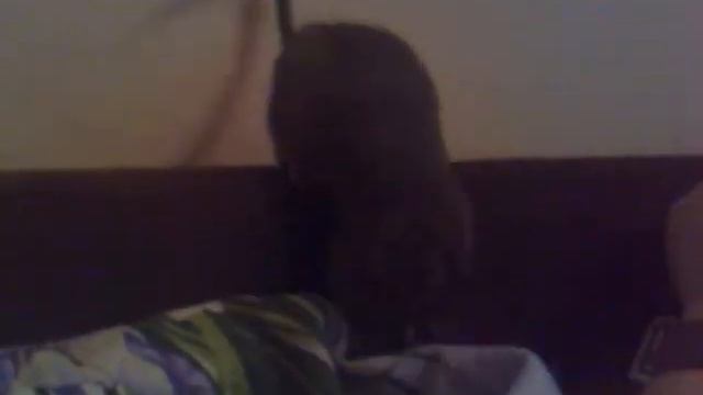 Моя дегу Фенька =) смотреть онлайн