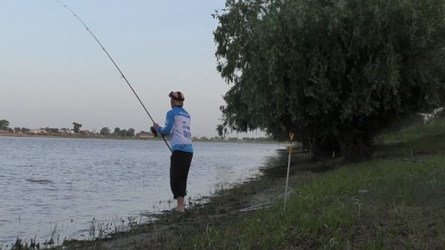 Бешеный клев сазана на Ахтубе Рыбалка в Астрахани на жмых 2022 смотреть онлайн