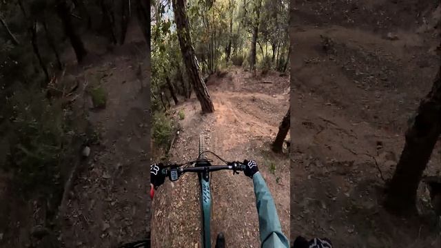 Límites Superados: Descenso Radical en Bicicleta смотреть онлайн