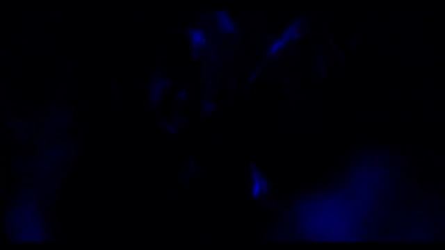Cuban Link, 'Quiet Storm' Official Full Video HD смотреть онлайн