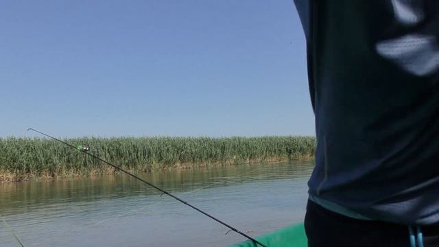 ЗАБРАЛСЯ В ТАКУЮ ДИЧЬ Ловля сазана и сома в дельте Рыбалка 2021 в Астрахани смотреть онлайн
