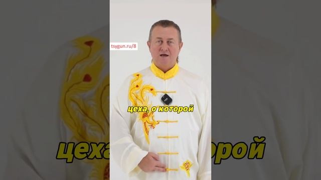 Точки входа и точка Цихай #оздоровительныйсериал #цигунонлайн смотреть онлайн