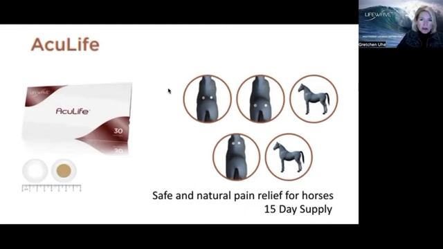 AcuLife Phototherapy Patches for Horses -- Learn How They Work! смотреть онлайн