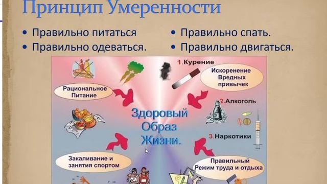 Основы диетологии, макробиотики и нутрицевтики. 1 урок смотреть онлайн