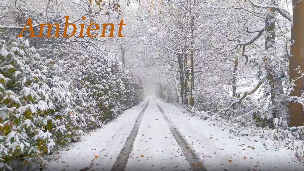 Первый снег. & First snow. смотреть онлайн