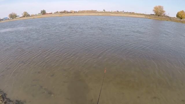 Рыбалка в Астрахани на поплавок осенью Попытал счастье на три разных способа ловли с берега смотреть онлайн