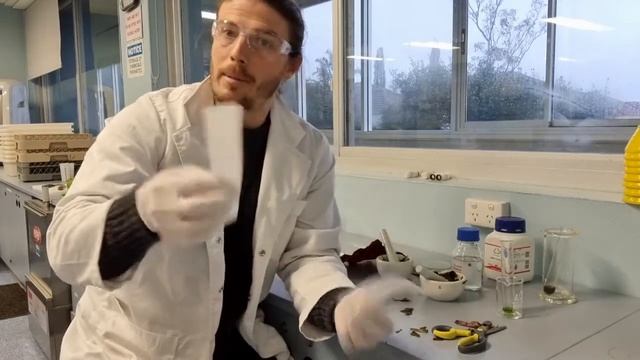 Chlorophyll - Its role in ecosystems and how we can test for its presence смотреть онлайн