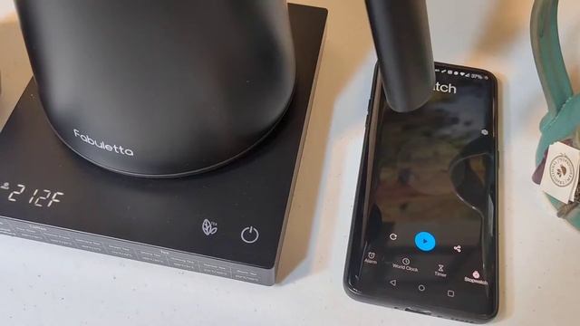 Fabuletta 1200 Watt Elegant Electric Kettle (Unbox + Review) смотреть онлайн