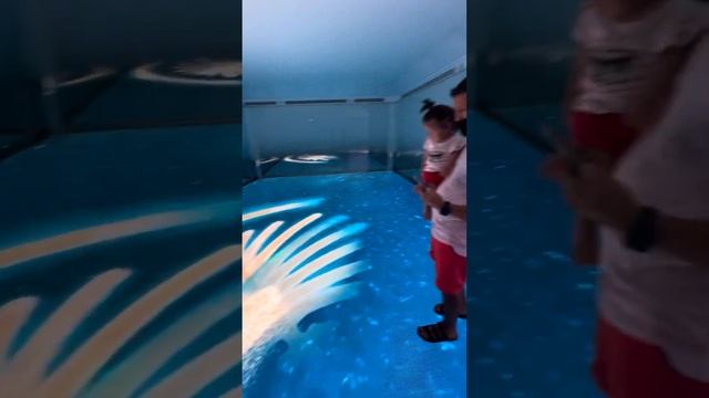 Amina star Dubai смотреть онлайн