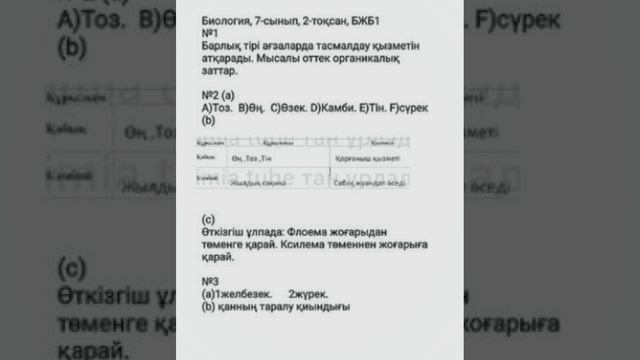7 сынып класс биология 2 тоқсан бжб смотреть онлайн