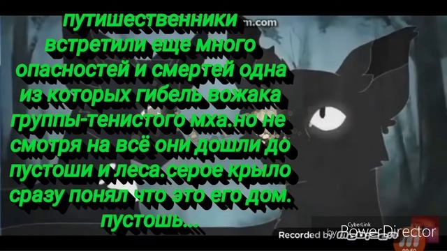 Итория серого крыла(коты воители) смотреть онлайн