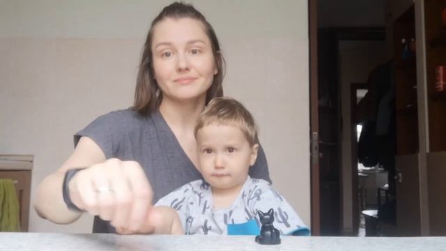 Отзыв (видеоурок) - Булдакова Александра и сын Федя смотреть онлайн
