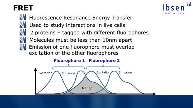 Fluorescence Spectroscopy Tutorial - Typical Applications смотреть онлайн