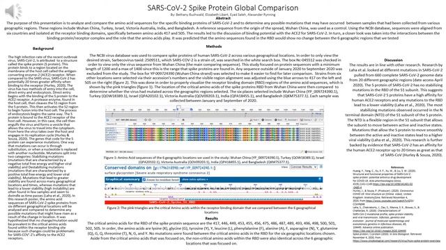 SARS CoV 2 presentation Final смотреть онлайн