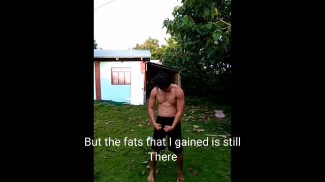 Muscletech mass gainer body transformation ( bulk to cut) whey protein and creatine смотреть онлайн