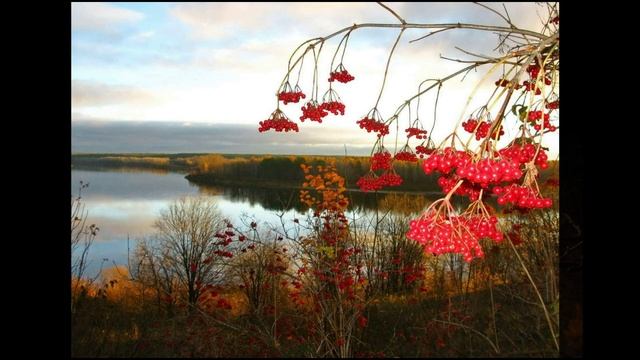 Опять осенний блеск денницы... Афанасий Фет. смотреть онлайн