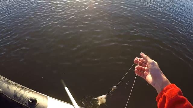 Пробная рыбалка в раскатной части дельты Волги. Рыбалка Астрахань смотреть онлайн