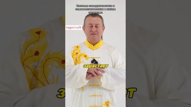 Системы самодиагностики и самовосстановления в нашем организме смотреть онлайн