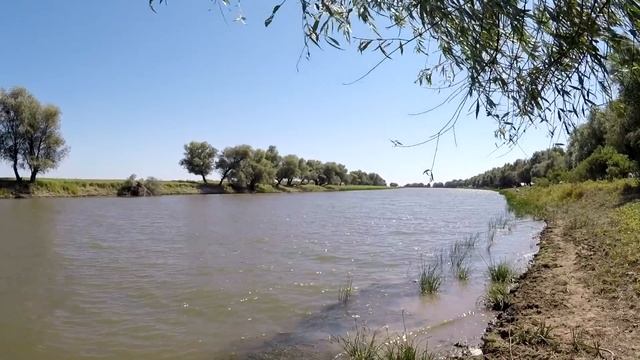 Рыбалка в Астрахани бывает и такой Нашли невероятное количество грибов подберезовиков Рыбалка 2020 смотреть онлайн