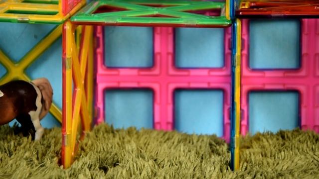 Animal Planet! Let's Learn Animal Names! Fun Animals Toys For Kids!