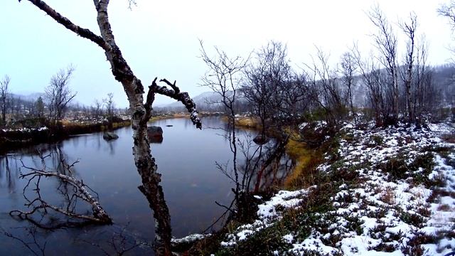 Как в Заполярье приходит осень... смотреть онлайн