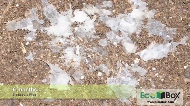 BioBubble Wrap смотреть онлайн