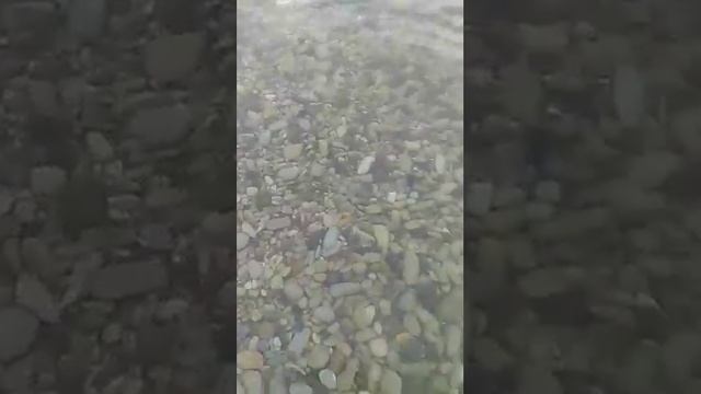Пляж в Агое смотреть онлайн