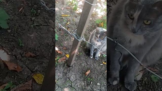 Небольшой рассказ за сегодня смотреть онлайн