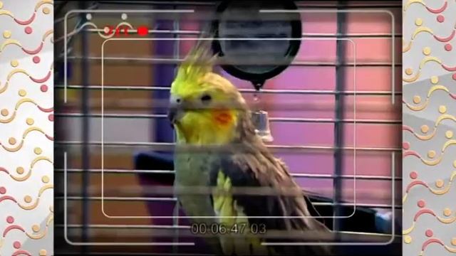 АЗН Физика Неньютоновские жидкости смотреть онлайн
