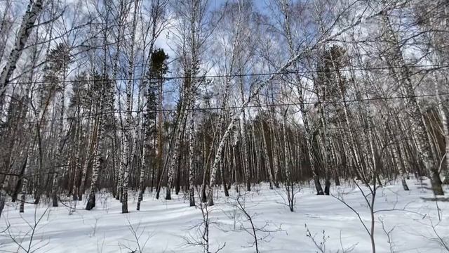 Земельный участок 2,8 Га в Журавлях смотреть онлайн