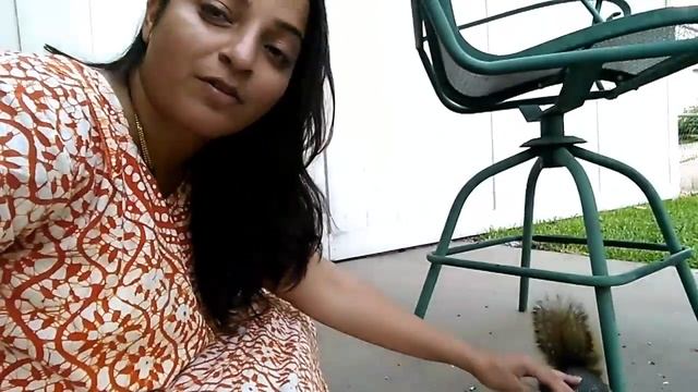 Squirrel and me смотреть онлайн