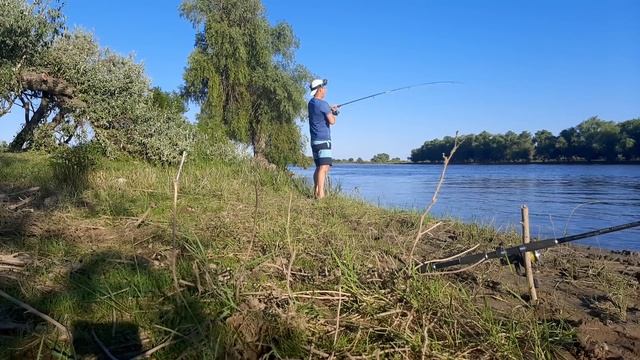 Прыжок за сазаном в воду Рыбалка на жмых в Астрахани 2020 смотреть онлайн