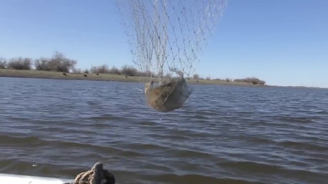 Рыбалка на Ахтубе Поиск весеннего хищника по рекам Астраханской области смотреть онлайн