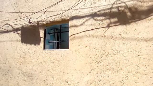 Fado смотреть онлайн