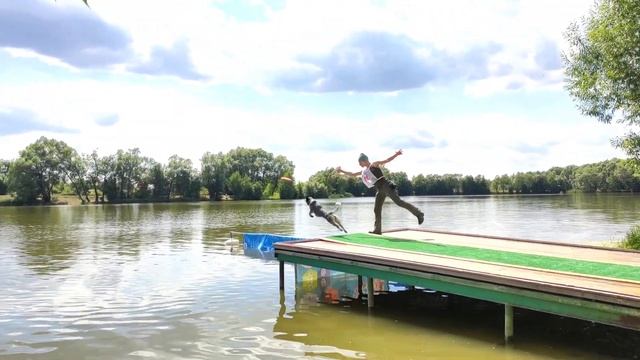 Dog Diving (30.07.22)