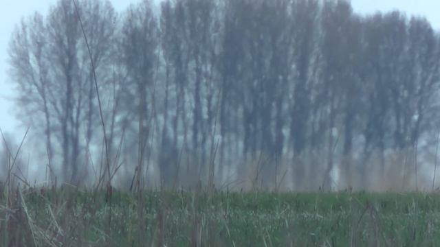 ВОБЛА ПОШЛА! Ловля ходовой Астраханской воблы и леща смотреть онлайн