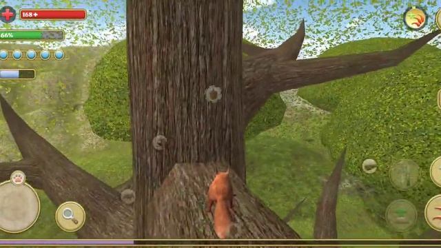 играю в симулятор белки 🐿️🐿️🐿️🐿️🌰🌰🌰🌰 смотреть онлайн