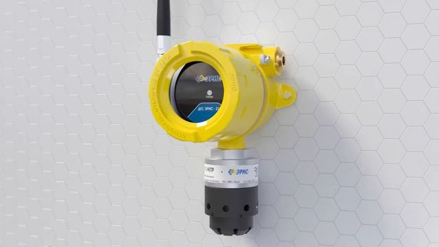 Wireless Gas Detector DGS ERIS-210 RF
